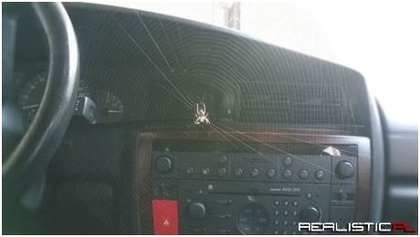 The Only Recourse is Fire, Sorry Car