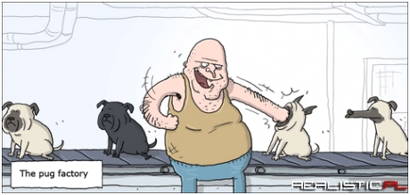 The pug factory