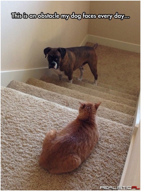 The Stairs are Tough Enough