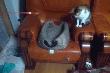 The Student Becomes the Master