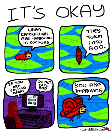 The Zen of Caterpillars