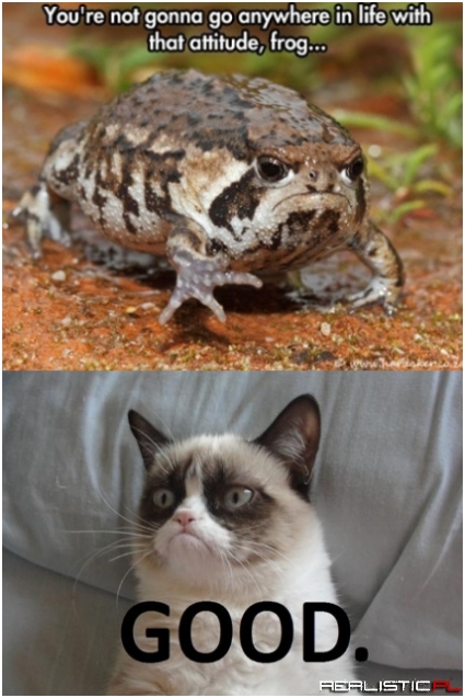 There Ain't Room on the Internet for the Two of Us, Frog!