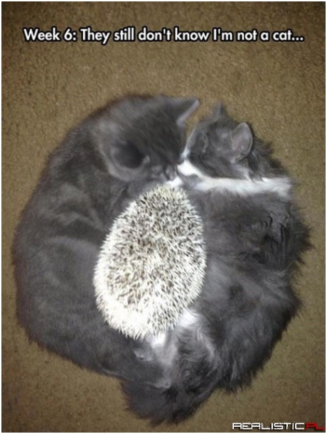 They still dont know