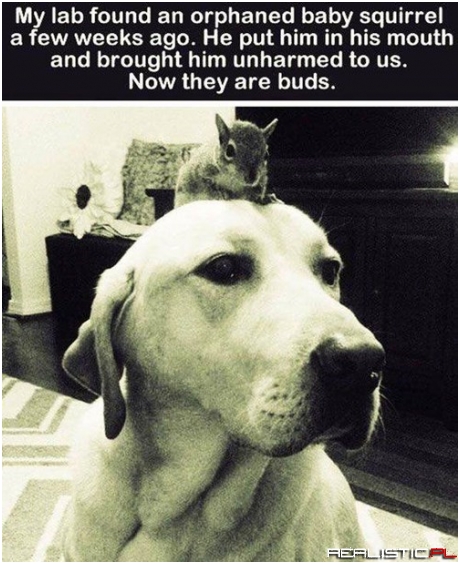 They're Nuts for Each Other