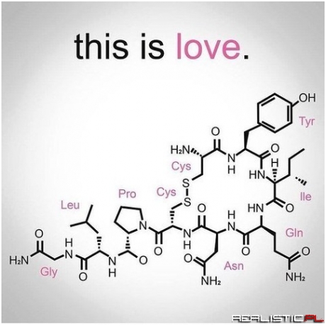 This is love