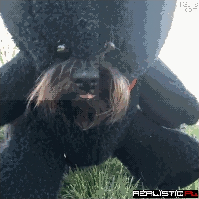 This Teddy Bear Has Arisen