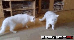 To Get to Them You Gotta Get Through Me