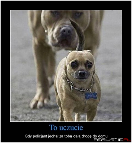 To uczucie ...