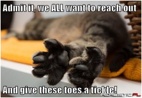 Toesies!