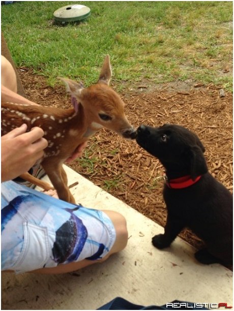 Two Youngsters Meeting Each Other
