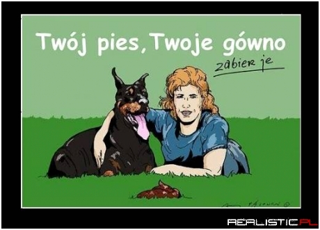 Twój pies...