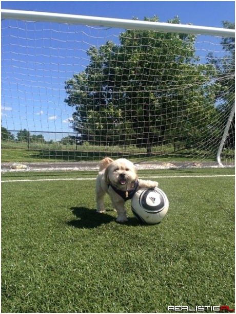 Wanna Play