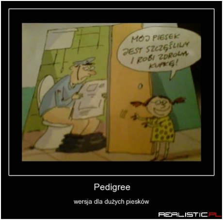 Wersja dla dużych piesków
