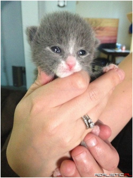 Will You Cuddle Me Closer