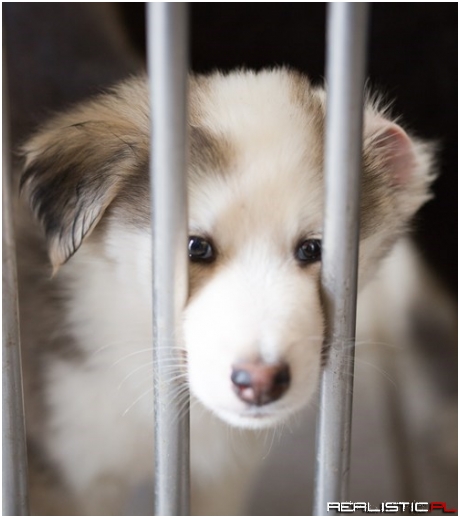 Will You Take Me Home