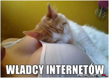 Władcy internetów
