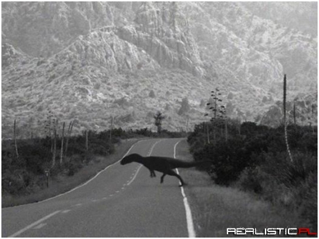 Wracasz do domu po pracy...