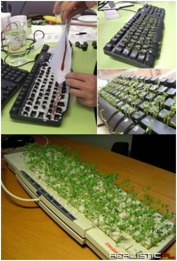 Wrócił do pracy po weekend'ie XD