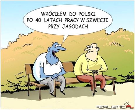 Wróciłem do Polski