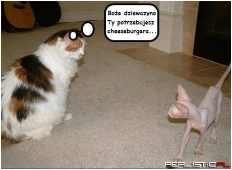 Wszędzie te wychudzone modelki