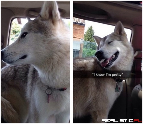 You Didn't Even Have to Say it