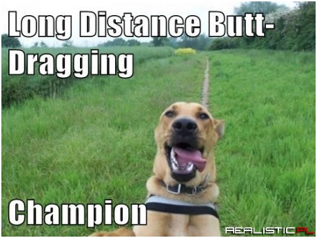 You Have to Draw the Line Somewhere