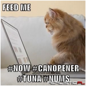 Your Cat Has Learned How to Use Hashtags #BeAfraid