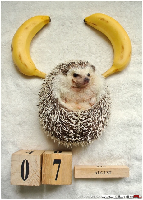 07 August