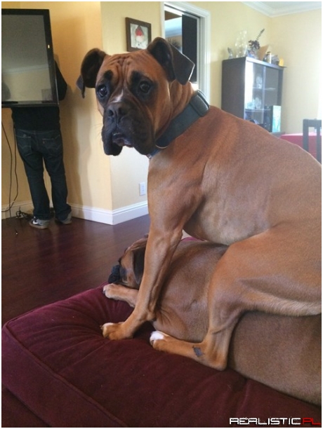 Best Seat in the House