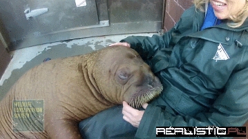 Better Than a Bucket