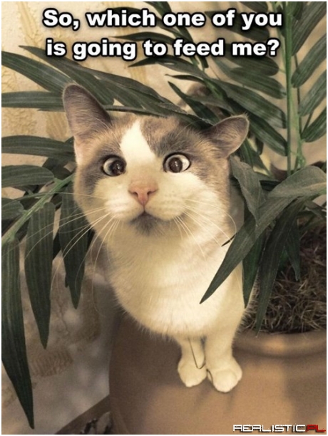 Both at the Same Time