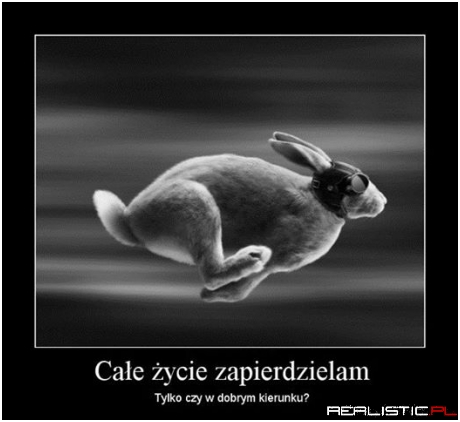 Całe życie ....