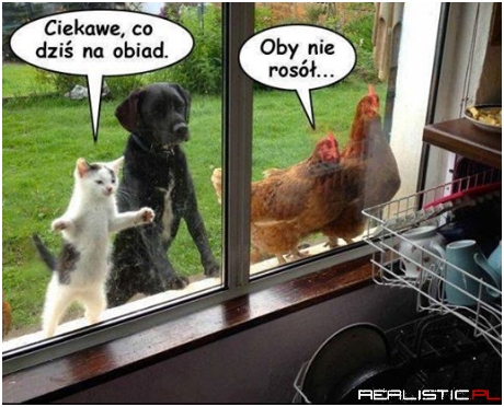 Ciekawe co dzisiaj na obiad ...