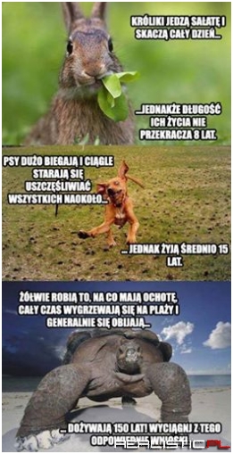 Coś w tym jest ....