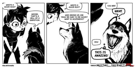 Dog Philosophy