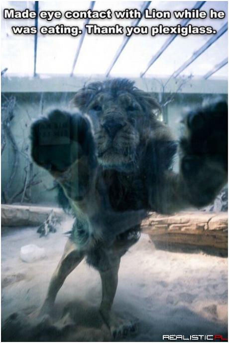 Don't be Lookin' at my Noms!