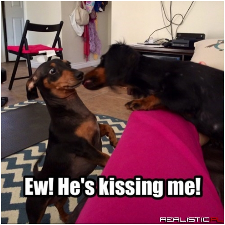 Even Dogs Don't Like Dog Breath