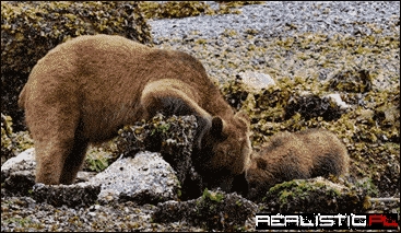 Every Mother Makes Mistakes, Right