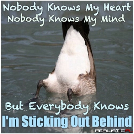 Fred Always Knew He Was Poetry In Motion