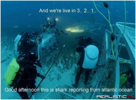 Gil Sharply is Live at the Scene of the Attack