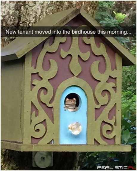 He Said the Place was Pretty Fly