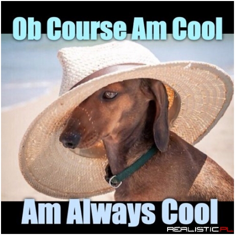 He's A Dedicated Follower Ob Fashun