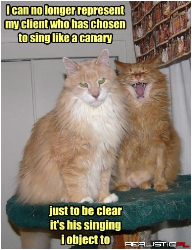 His Warble is No Trill