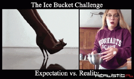 Ice Bucket Expectations