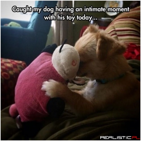 It's Just You and Me, Stuffles