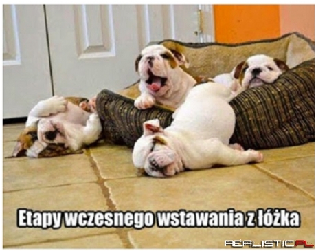 Jak Wam dziś poszło