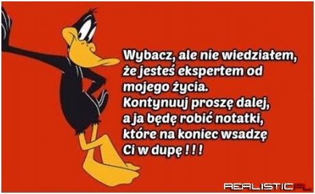 Jesteś expertem ....