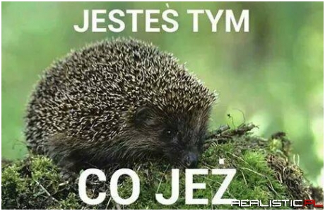 Jesteś tym...