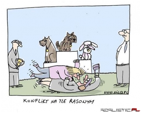 Konflikt na tle rasowym