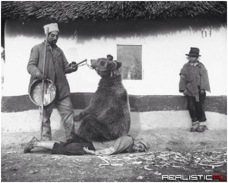 Leczenie bolących pleców niedżwiedziem, Rumunia rok 1946